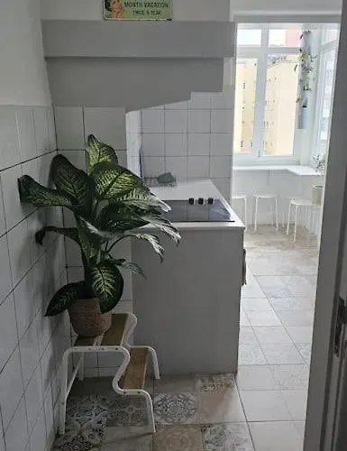 Solo Grande Con Balcon *